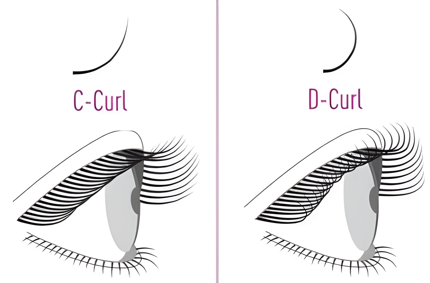 Daydream PRO ribbon lash