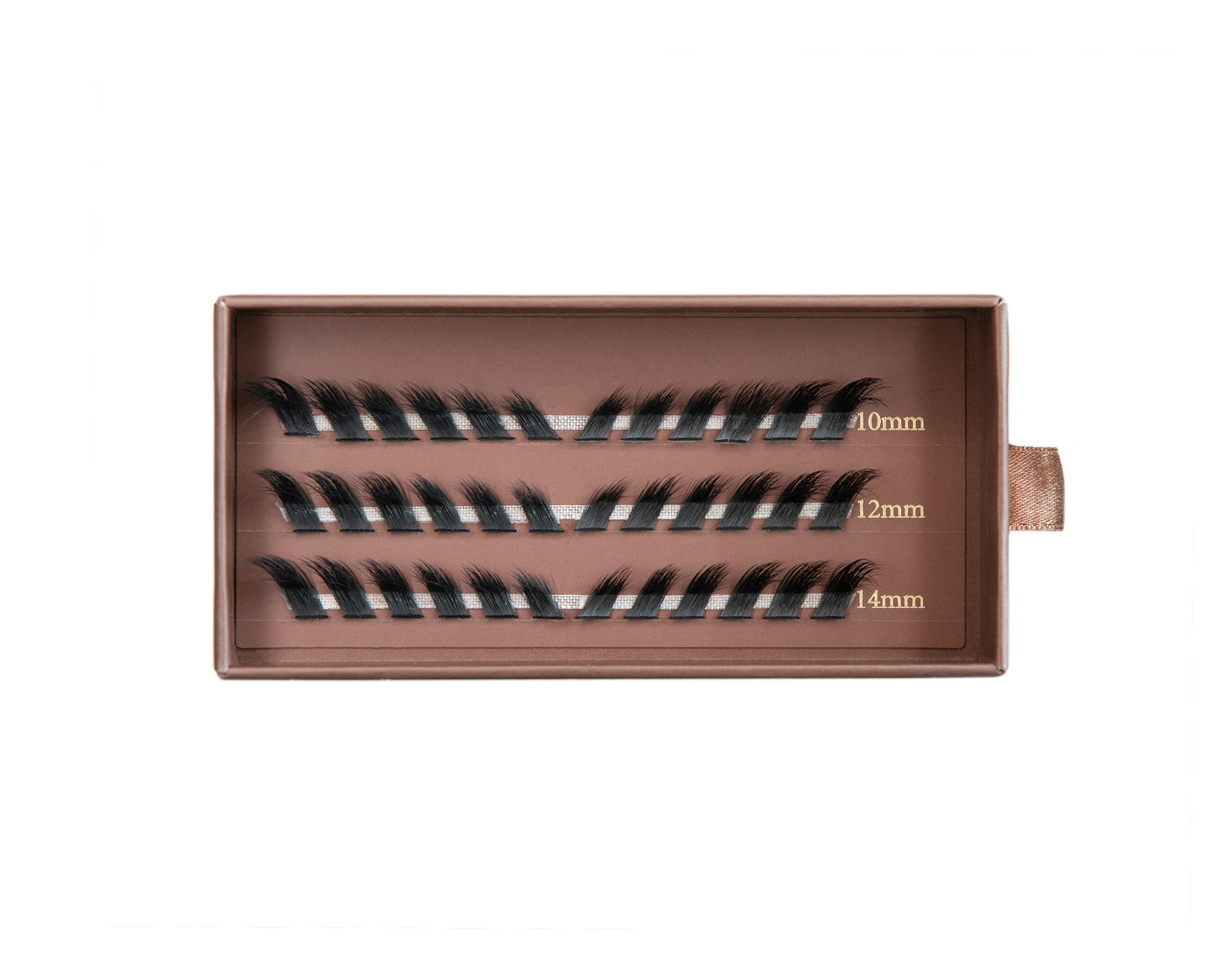 Foxy Lashes