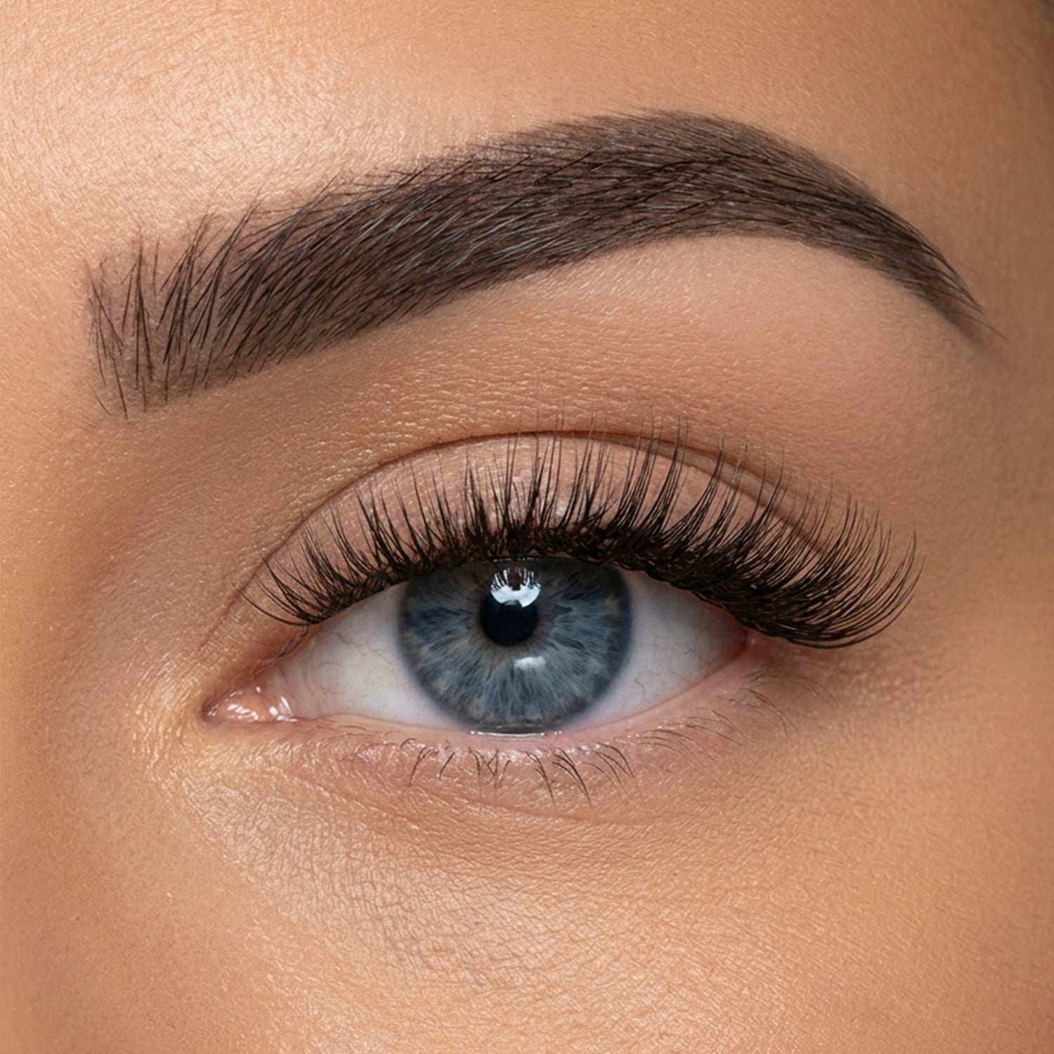 Eyecandy PRO ribbon lash
