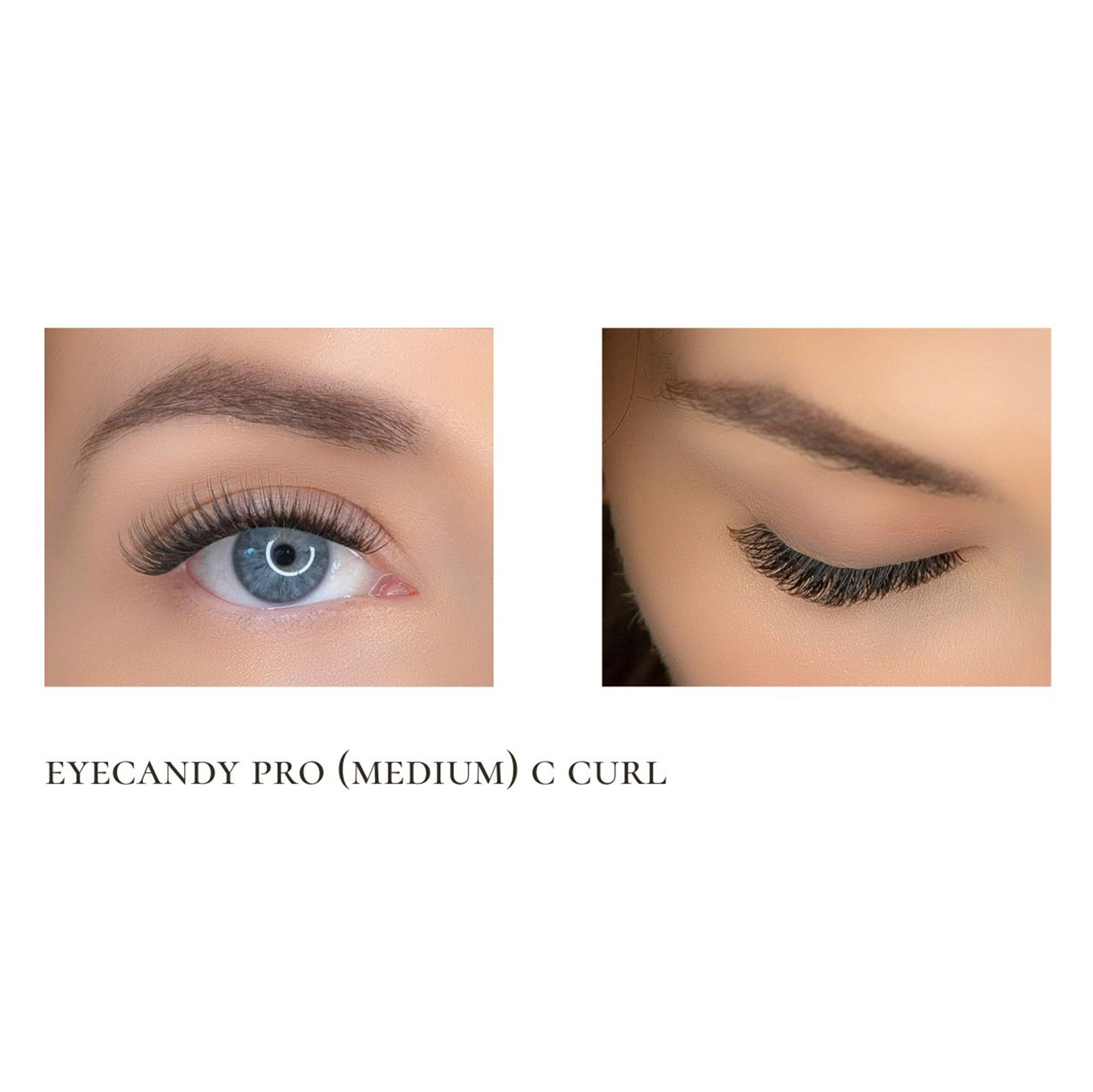 Eyecandy PRO ribbon lash