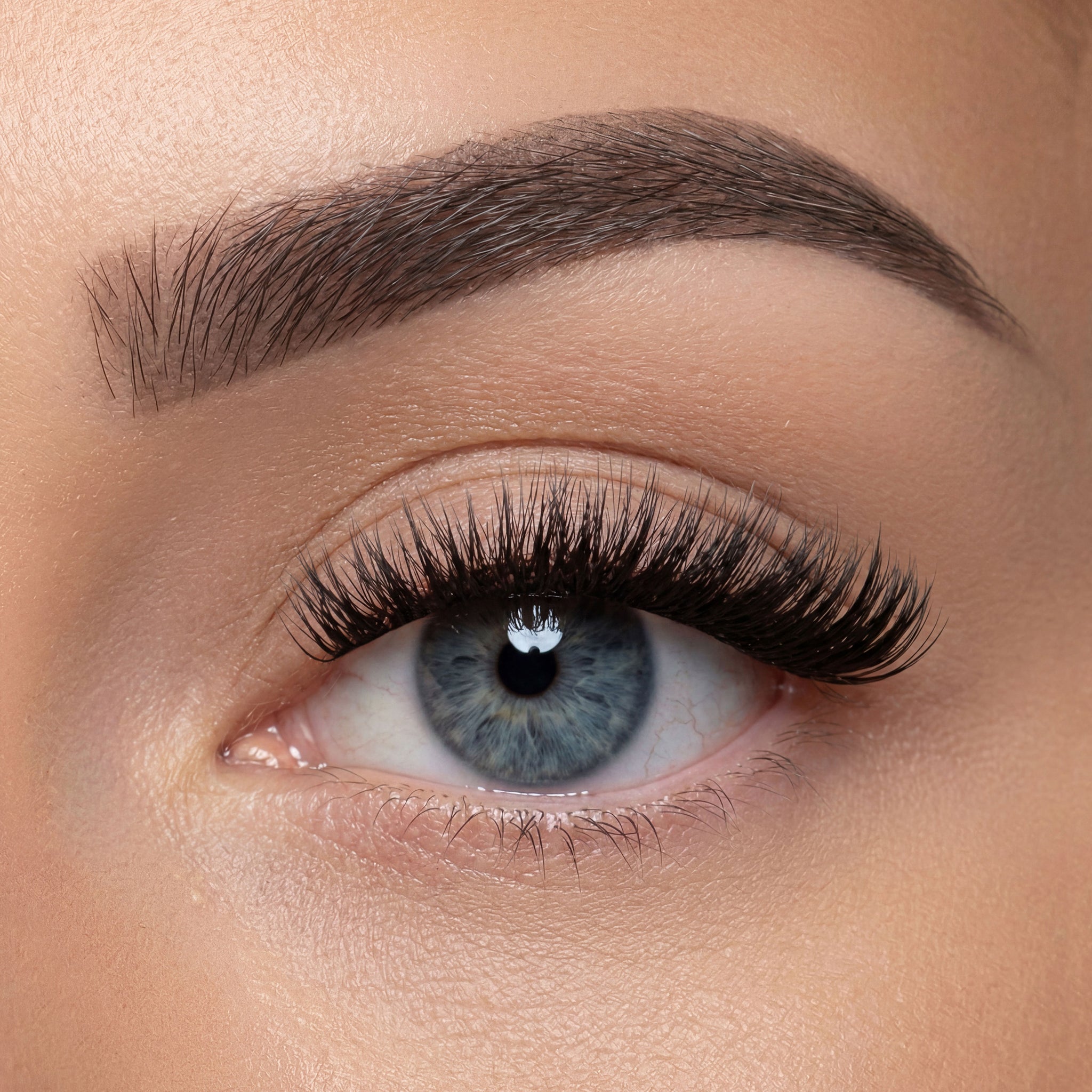 Midnight muse PRO ribbon lash
