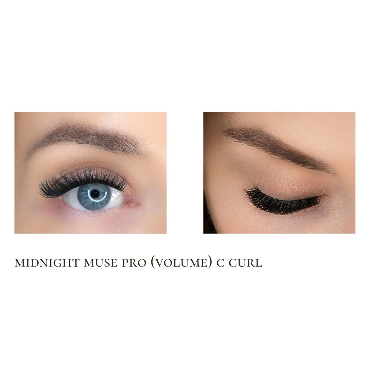 Midnight muse PRO ribbon lash