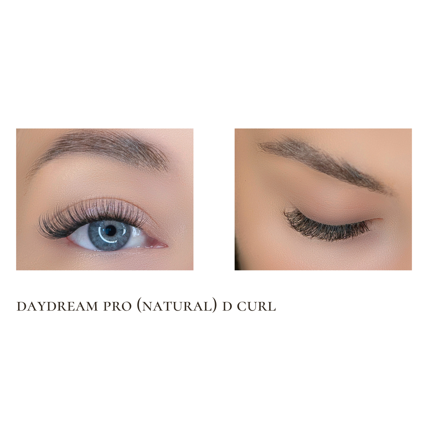 Daydream PRO ribbon lash
